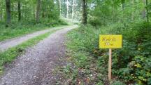  Blick auf die Wanderstrecke mit Infotafel 