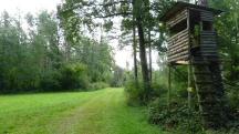  Blick auf die Wanderstrecke 