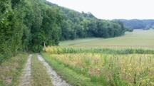  Wanderroute durch die Riede Gradfeld 