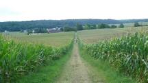 Wanderroute durch die Riede Gradfeld nach Unterhameten
