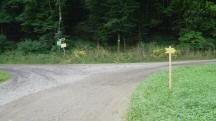 Blick auf die Wanderstrecke mit der 2. Streckentrennung
