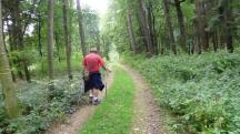 Blick auf die Wanderstrecke durch den groen Gutenbrunner Wald