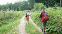 Blick auf die Wanderstrecke durch den groen Gutenbrunner Wald