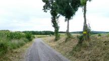  Blick auf die Wanderstrecke Richtung Gutenbrunn 