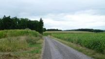  Blick auf die Wanderstrecke zum "Rotem Kreuz" 