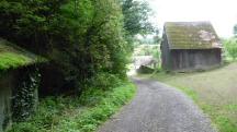 Blick auf die Wanderstrecke durch den Haltergraben bei Gutenbrunn