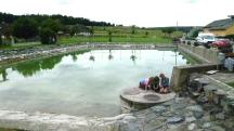 Blick auf die Teichanlage mit Freibad in Gutenbrunn 