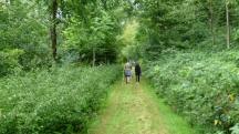  Wanderroute durch den Gutenbrunner Graben 