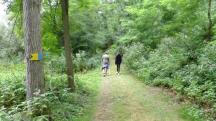  Wanderroute durch den Gutenbrunner Graben 