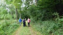  Wanderroute durch den Gutenbrunner Graben 