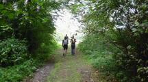  Wanderroute durch den Gutenbrunner Graben 