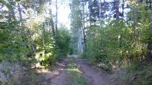  Blick auf die Wanderstrecke 