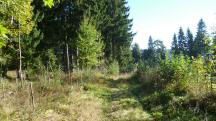  Blick auf die Wanderstrecke 