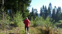  Blick auf die Wanderstrecke 