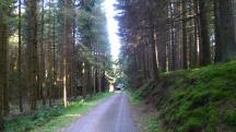  Blick auf die Wanderstrecke 