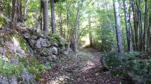  Blick auf die Wanderstrecke 
