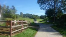 Blick auf die Wanderstrecke am Ortsende von Oberrabenthan 