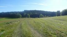  Blick auf die Wanderstrecke 