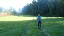  Blick auf die Wanderstrecke 