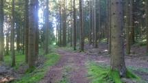  Blick auf die Wanderstrecke 