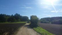  Blick auf die Wanderstrecke 