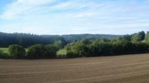  ein schner Fernblick ber das Waldviertler Hochland 