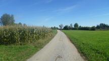  Blick auf die Wanderstrecke 