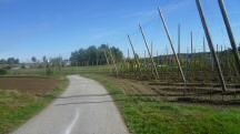  Blick auf die Wanderstrecke bei Marbach am Walde 