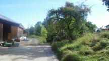  Blick auf die Wanderstrecke bei Marbach am Walde 