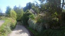  Blick auf die Wanderstrecke bei Marbach am Walde 