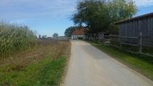  Blick auf die Wanderstrecke bei Marbach am Walde 