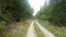  Blick auf die Wanderstrecke 