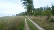  Blick auf die Wanderstrecke 