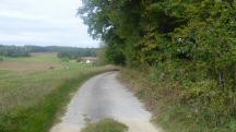  Blick auf die Wanderstrecke nach Rottenbach 