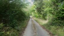 Blick auf die Wanderstrecke nach Rottenbach 