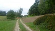 Blick auf die Wanderstrecke 
