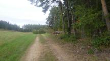  Blick auf die Wanderstrecke 