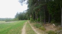 Blick auf die Wanderstrecke 