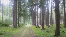  Blick auf die Wanderstrecke 