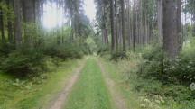  Blick auf die Wanderstrecke 