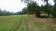  Blick auf die Wanderstrecke 