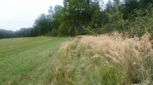  Blick auf die Wanderstrecke 