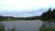  Blick auf den Forstteich 
