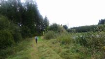  Blick auf die Wanderstrecke - entlang des Forstteich 