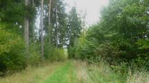  Blick auf die Wanderstrecke 
