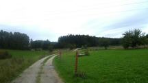  Blick auf die Wanderstrecke wieder zur B38 