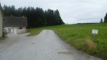  Blick auf die Wanderstrecke auf dem Gterweg Grtzl 