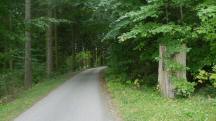  Blick auf die Wanderstrecke auf dem Gterweg Grtzl 