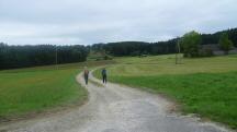 Blick auf die Wanderstrecke in der Streusiedlung Josefsdorf