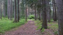  Blick auf die Wanderstrecke 